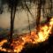 Prevenzione incendi boschivi potenziati i mezzi aerei su tutto il territorio siciliano